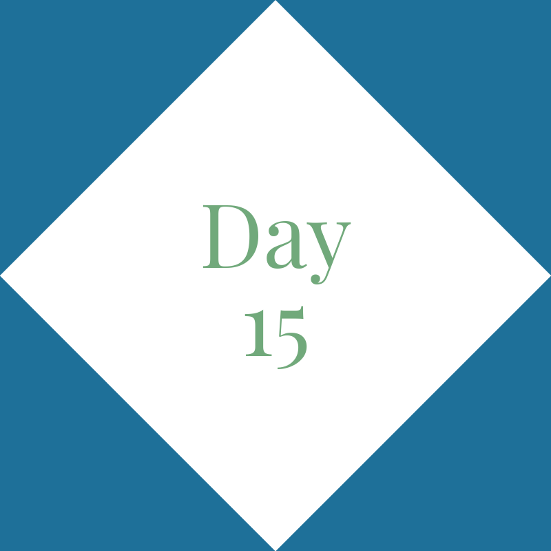 Day 15: Monday