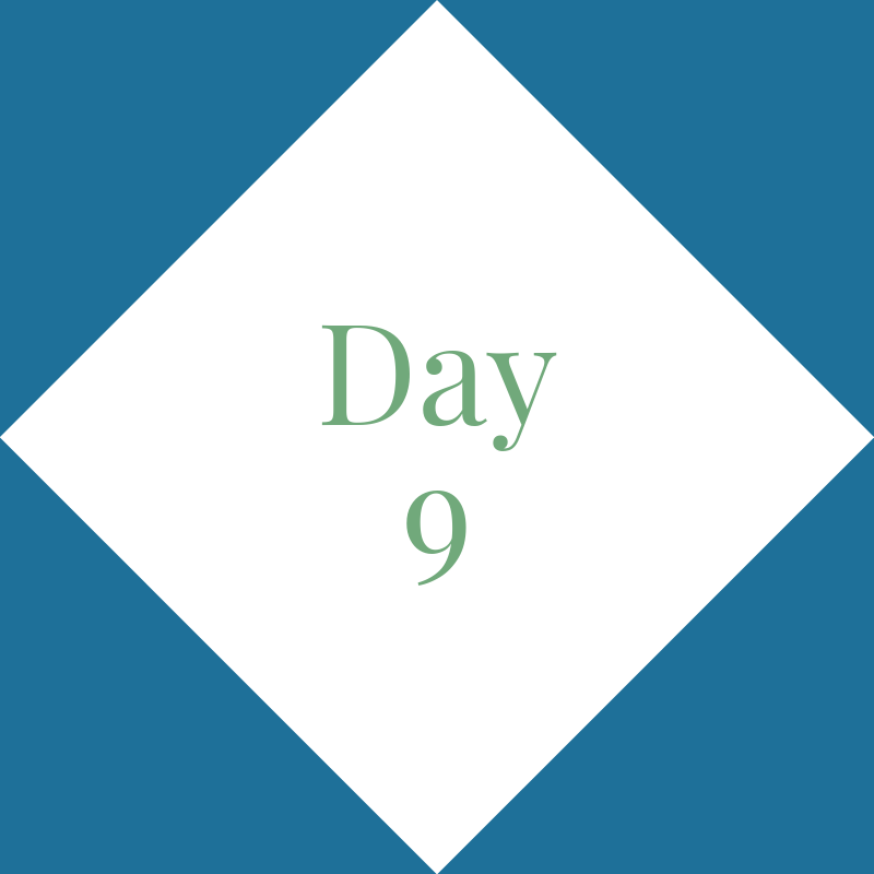 Day 9: Tuesday
