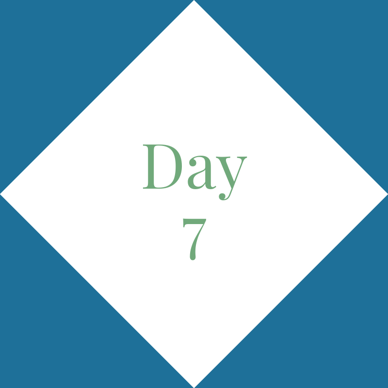 Day 7: Sunday