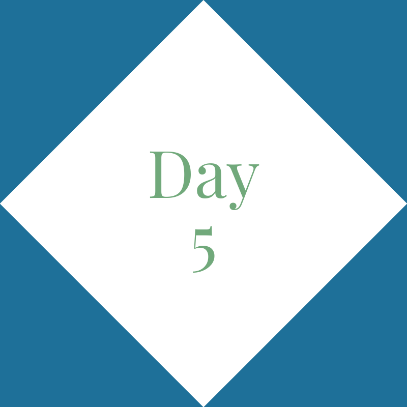 Day 5: Friday