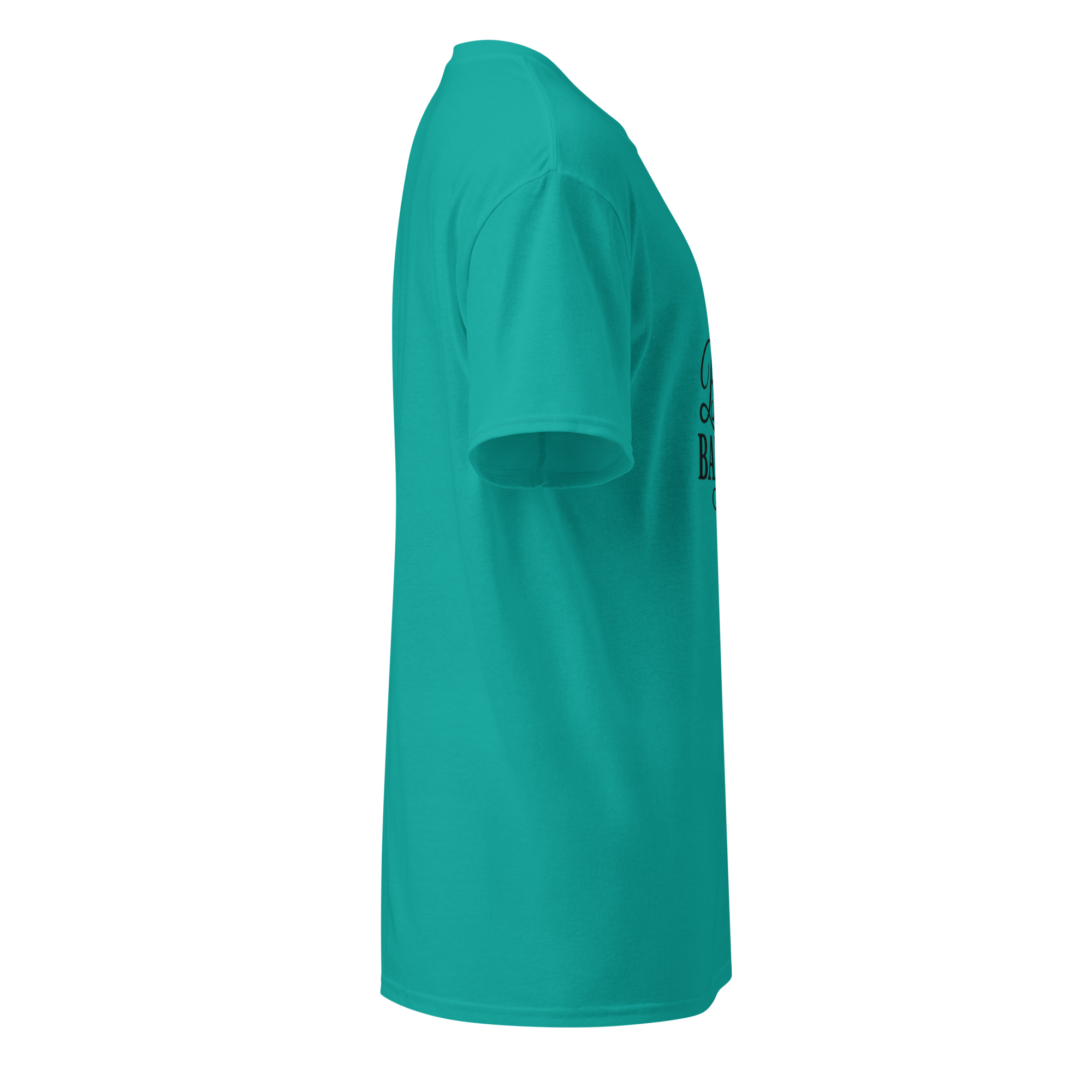 unisex-sports-tee-jade-dome-right-68cc5b2b7554c.png