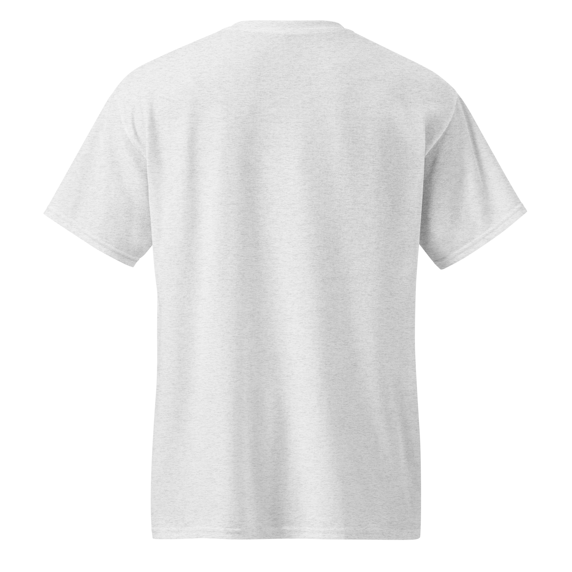 unisex-sports-tee-ash-back-68cc5b2b744f0.png