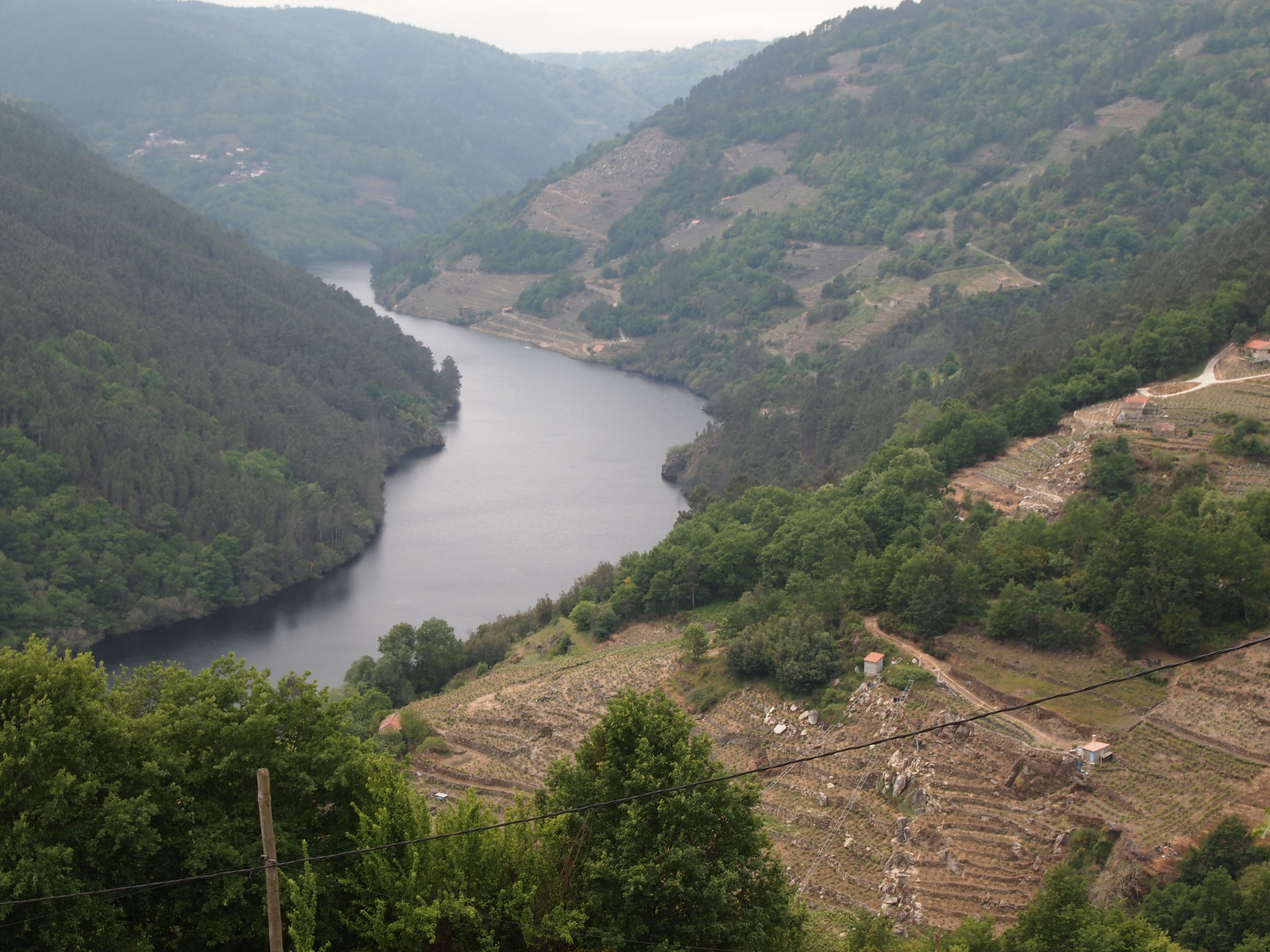p5143387.jpg