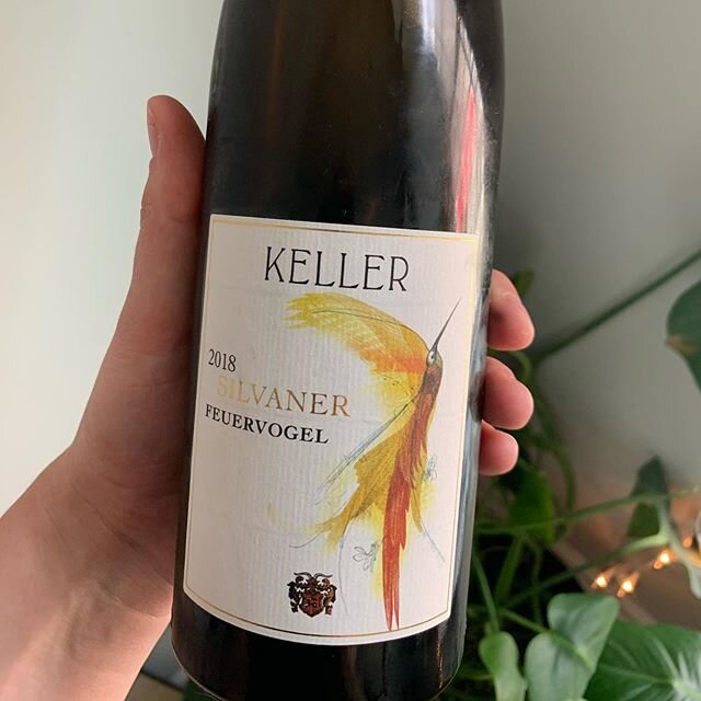 Not that Riesling is overrated by any means, but Silvaner is definitely underrated! And while @kellerdalsheim &lsquo;s is delicious (obviously - and don&rsquo;t sleep on the basic one either) there&rsquo;s a plethora of great old and new school Silva