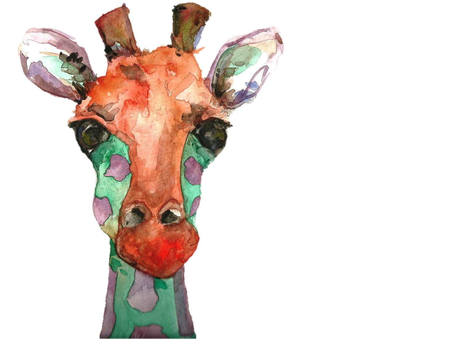 Giraffe.jpg