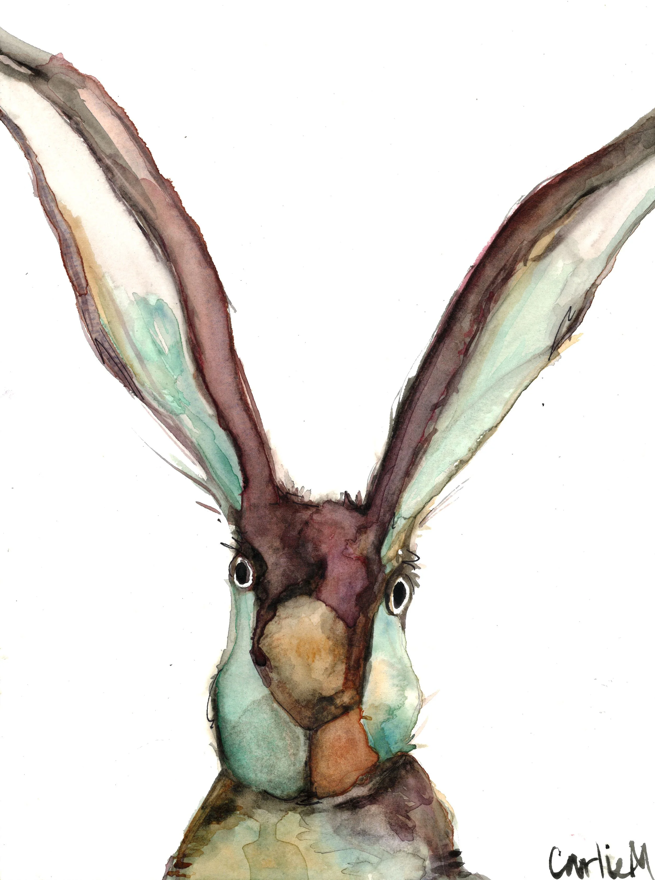 Jenn's Rabbit