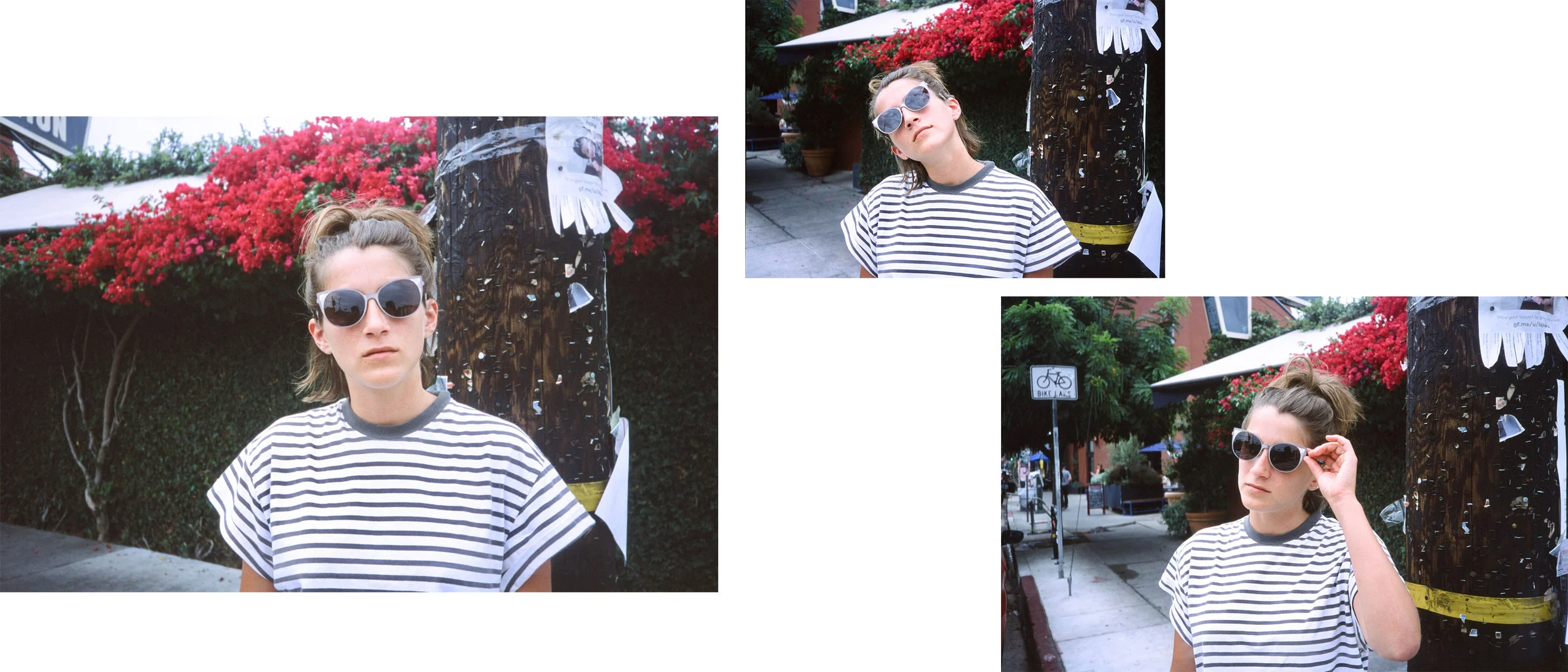 collage.jpg