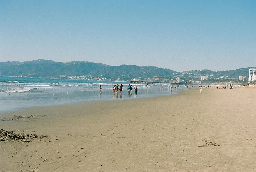 beatrice-helman - 20_preview.jpeg