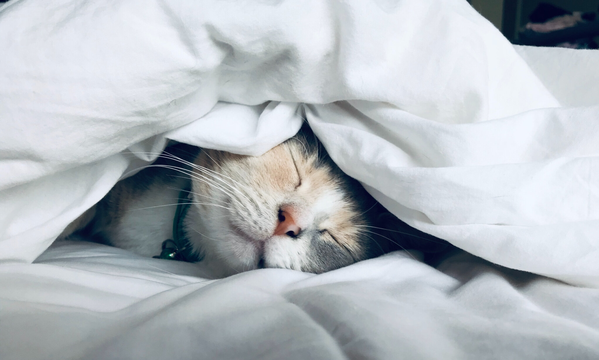 Hopefully we’ve given you some ideas so you can put daylight savings behind and start loving sleep again.