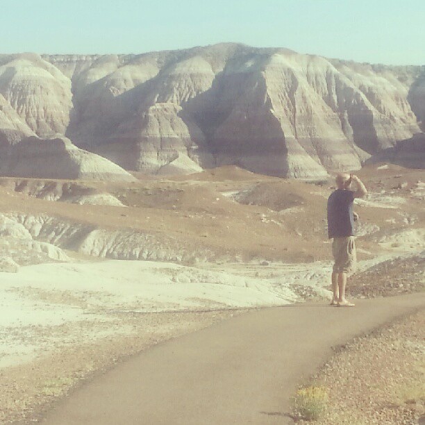 Petrified Forest, az