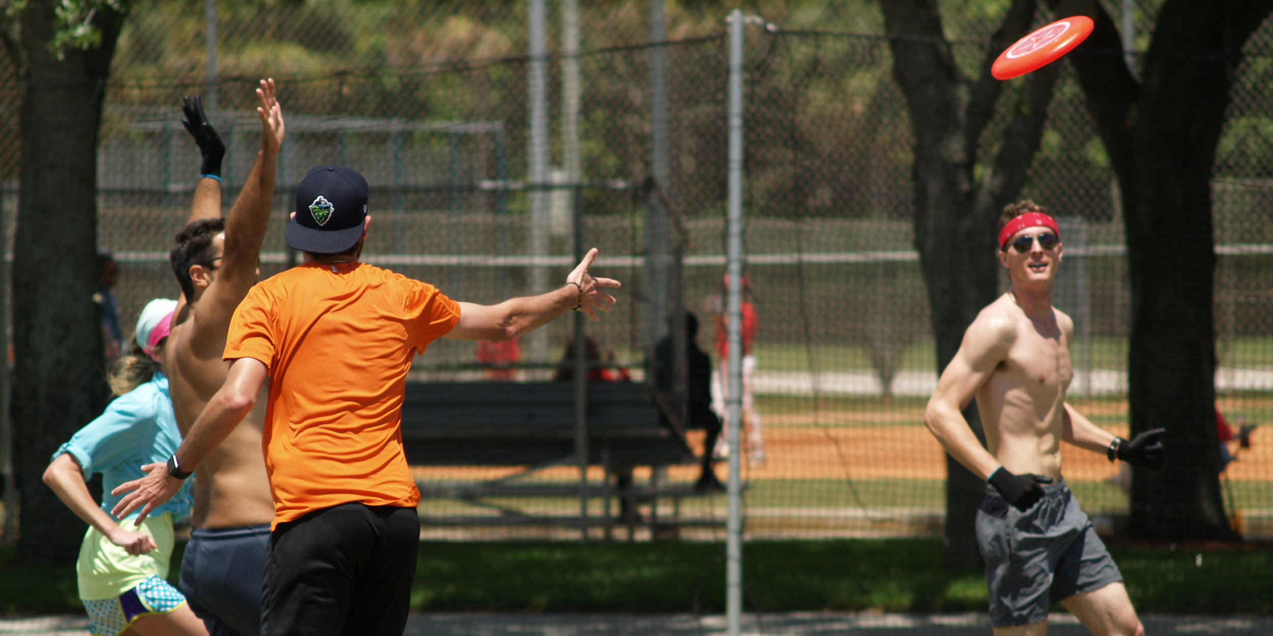 frisbee1.jpg