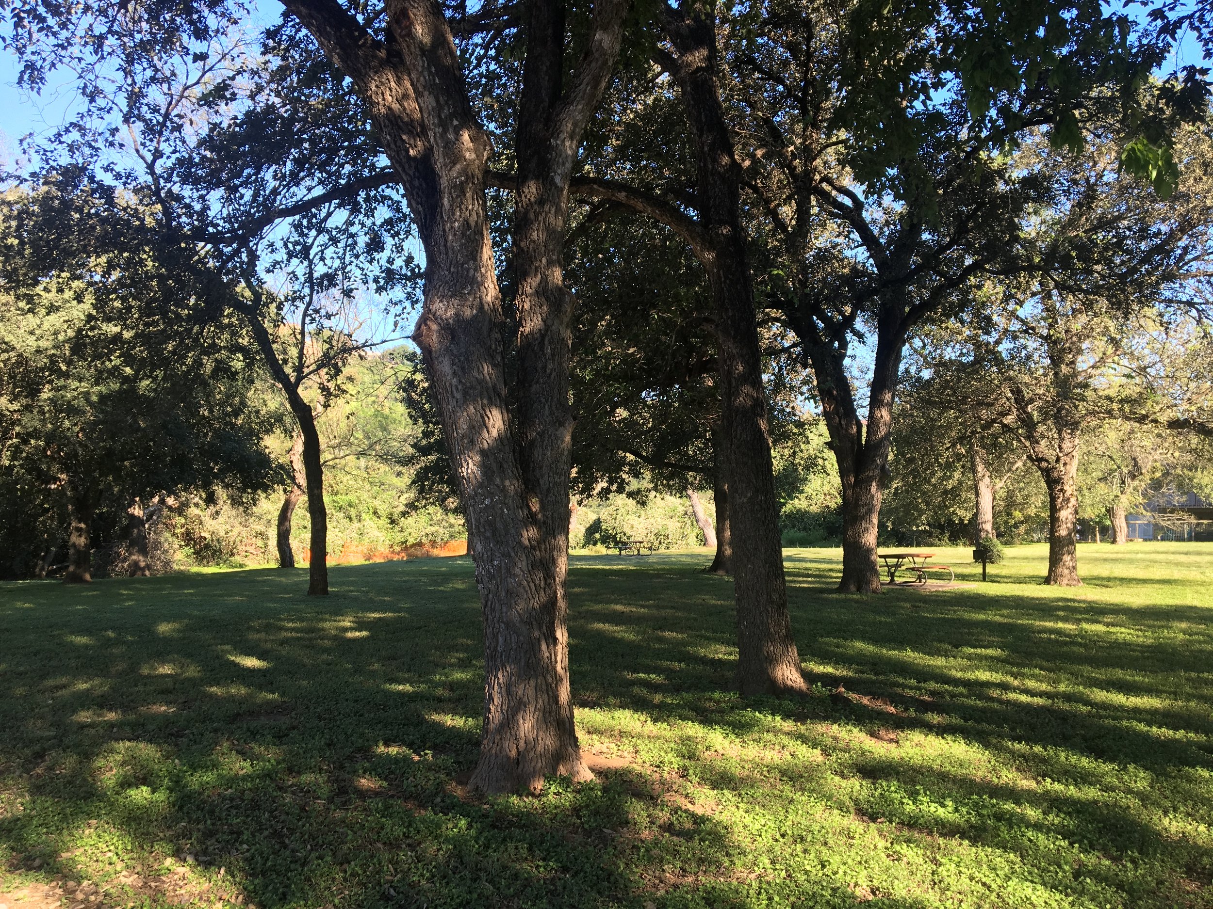 2016-09-28 09.28.43 HDR-2.jpg