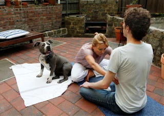 belisa-teaching.jpg