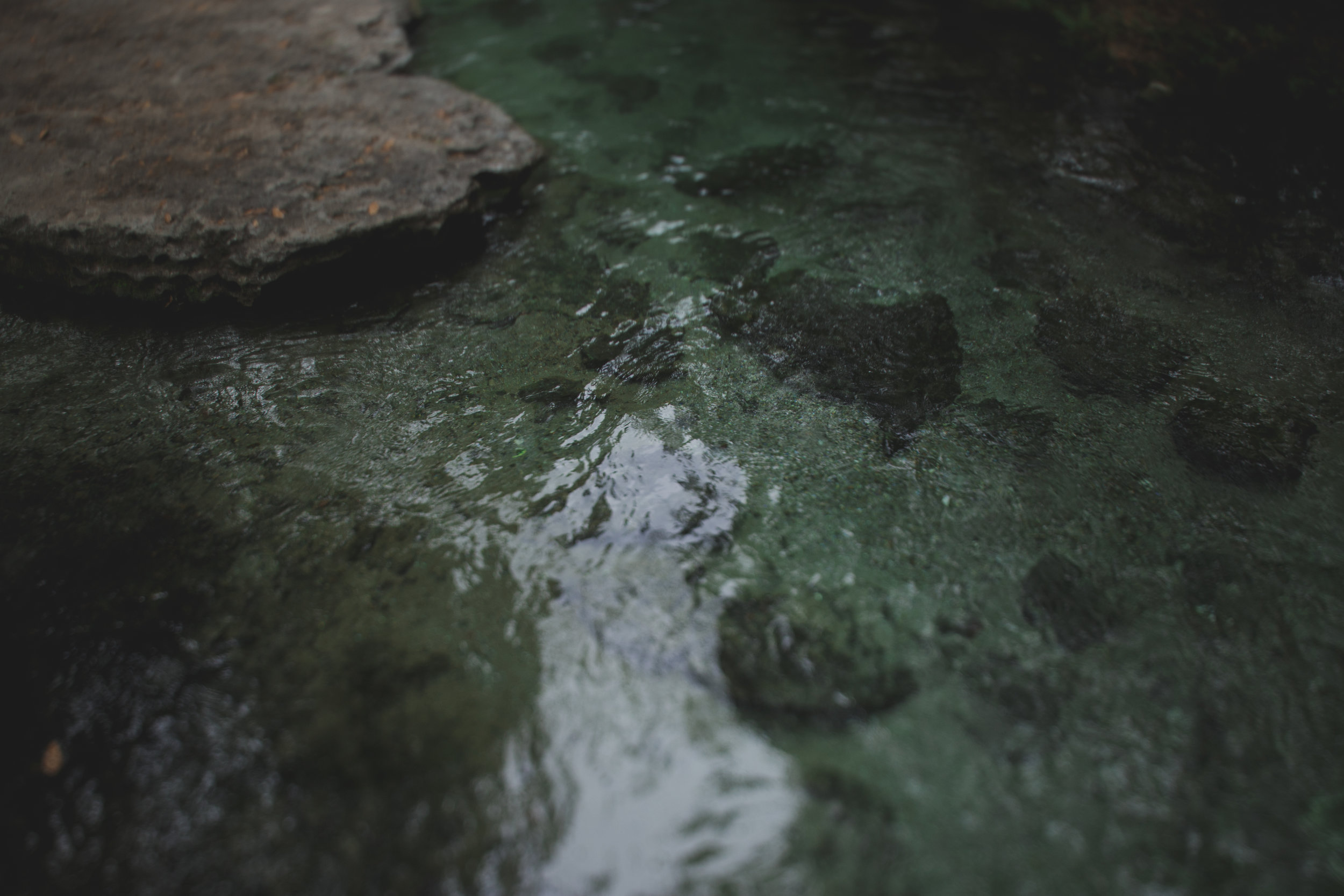 ClareAmandaSpring-5.jpg