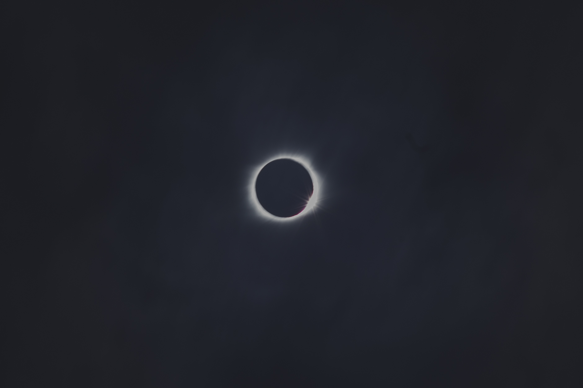 eclipse_-73.jpg