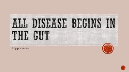 All Disease Begins in the GUT.jpg