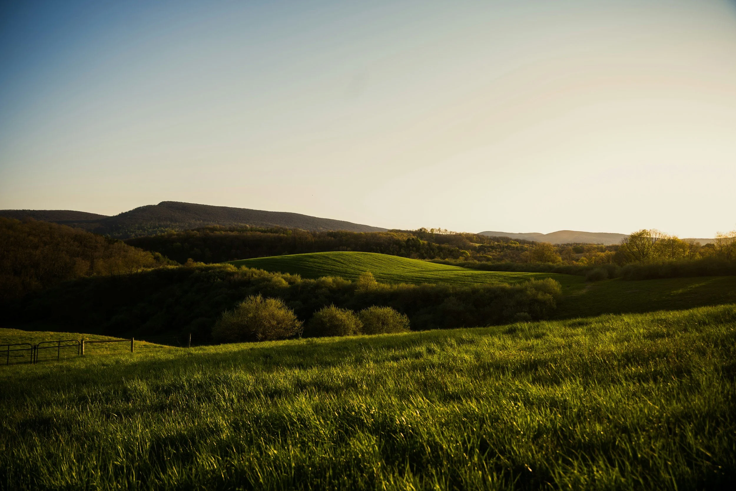 Lessons from Three Springs
