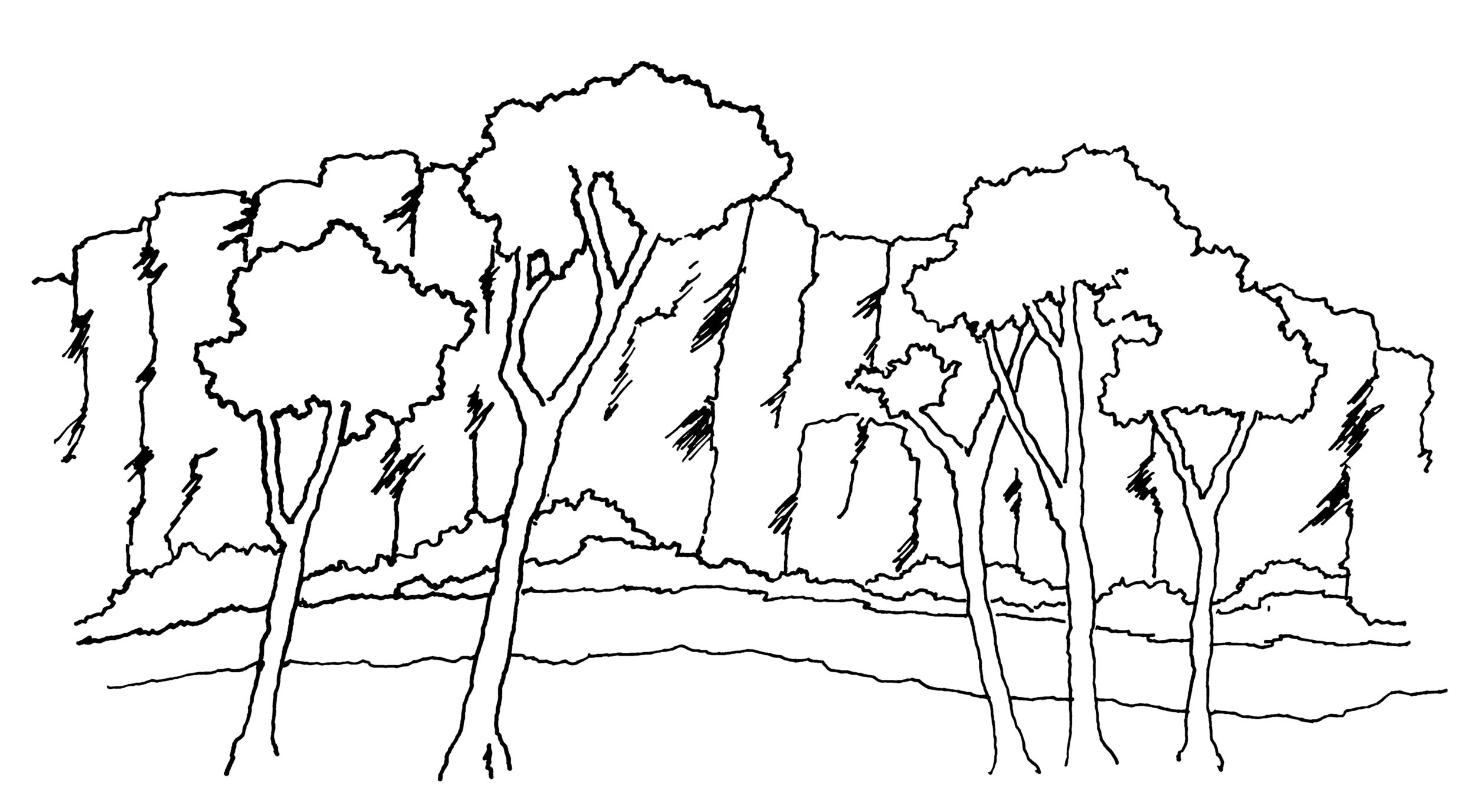 NewDrawing_BW.jpg