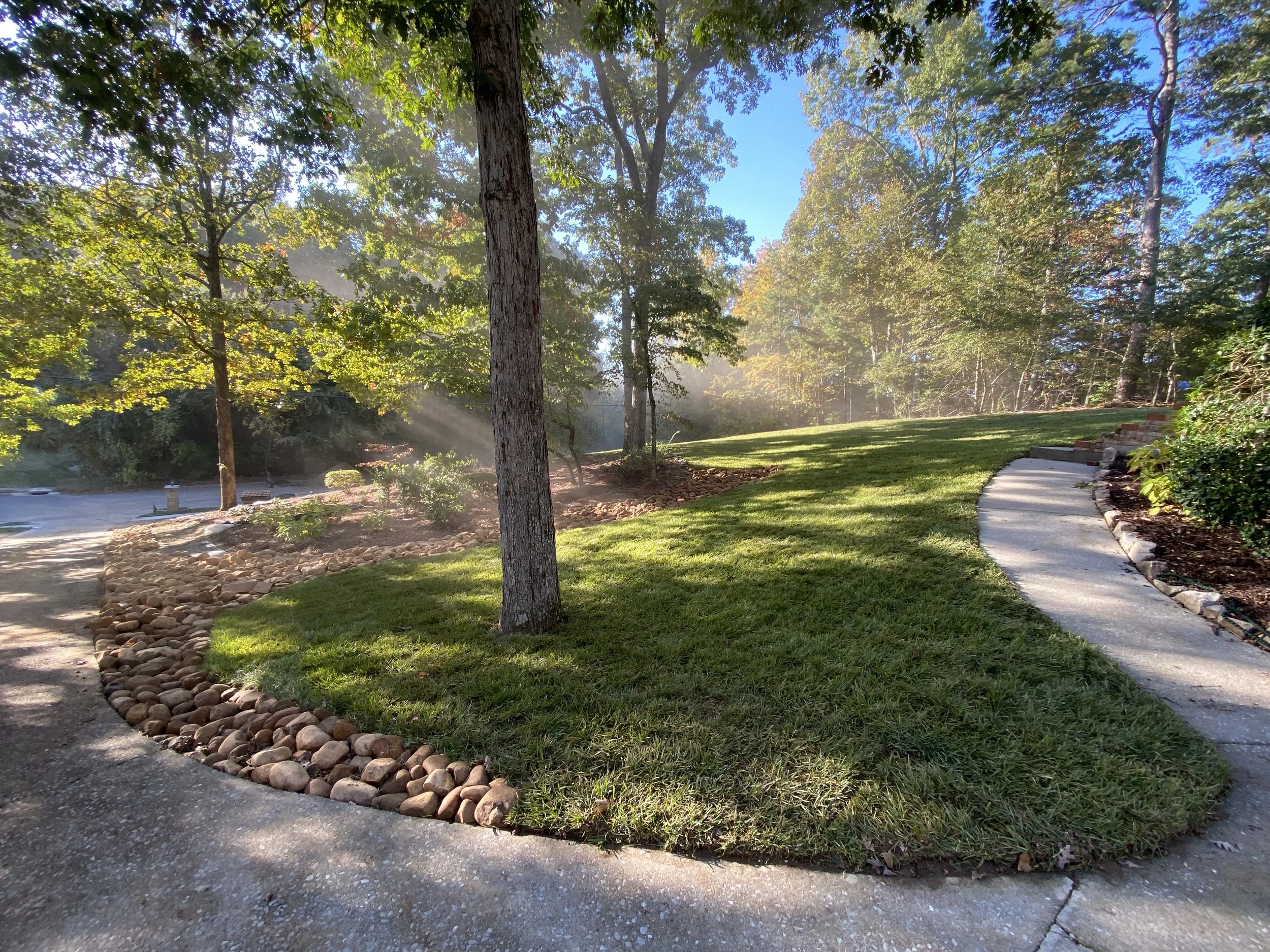 Fescue Lawn Dry Creekbed Sunset.JPG