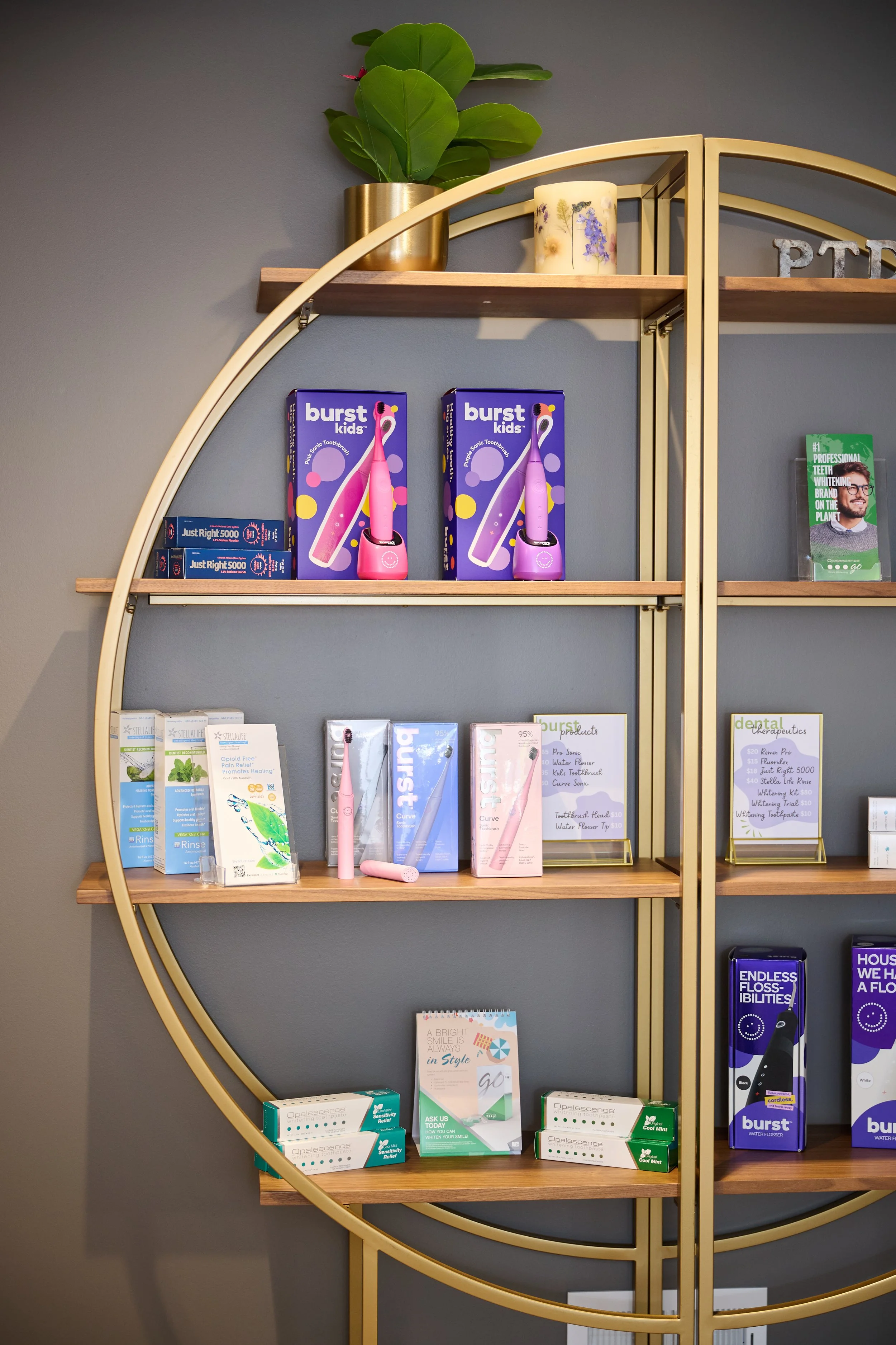 Pear Tree Dental | Saline, MI | Dr. Melissa Renz, DDS