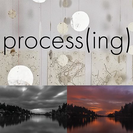 Processing: Emily Jung Miller and Martin Stabler