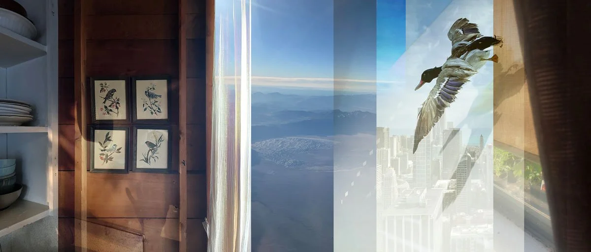 Zemula Barr, Domestic Flight, Inkjet Print on Archival Matte Paper, 12 x 28 inches, 2023