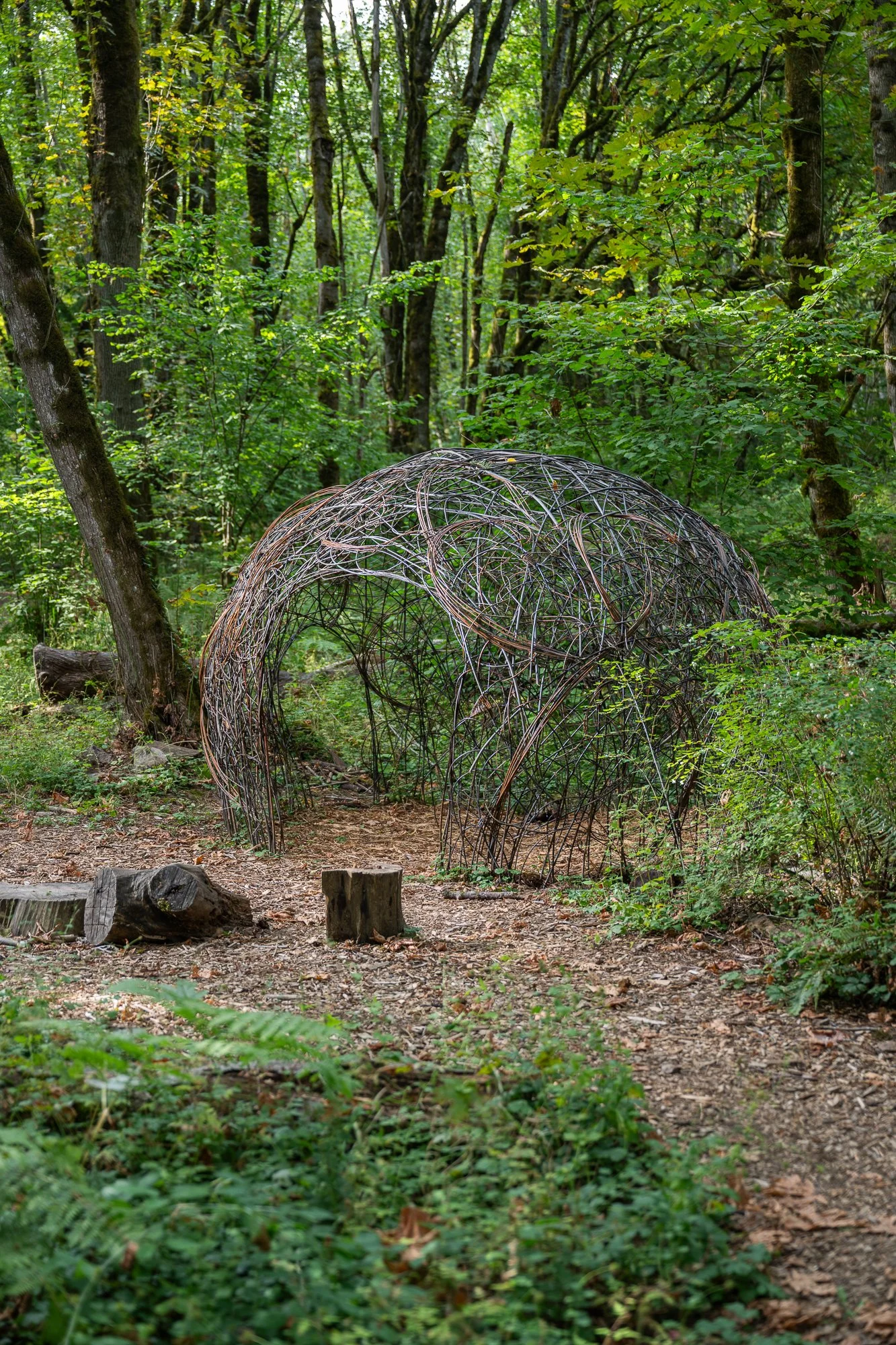 "Elemental Connections" by Rose Covert