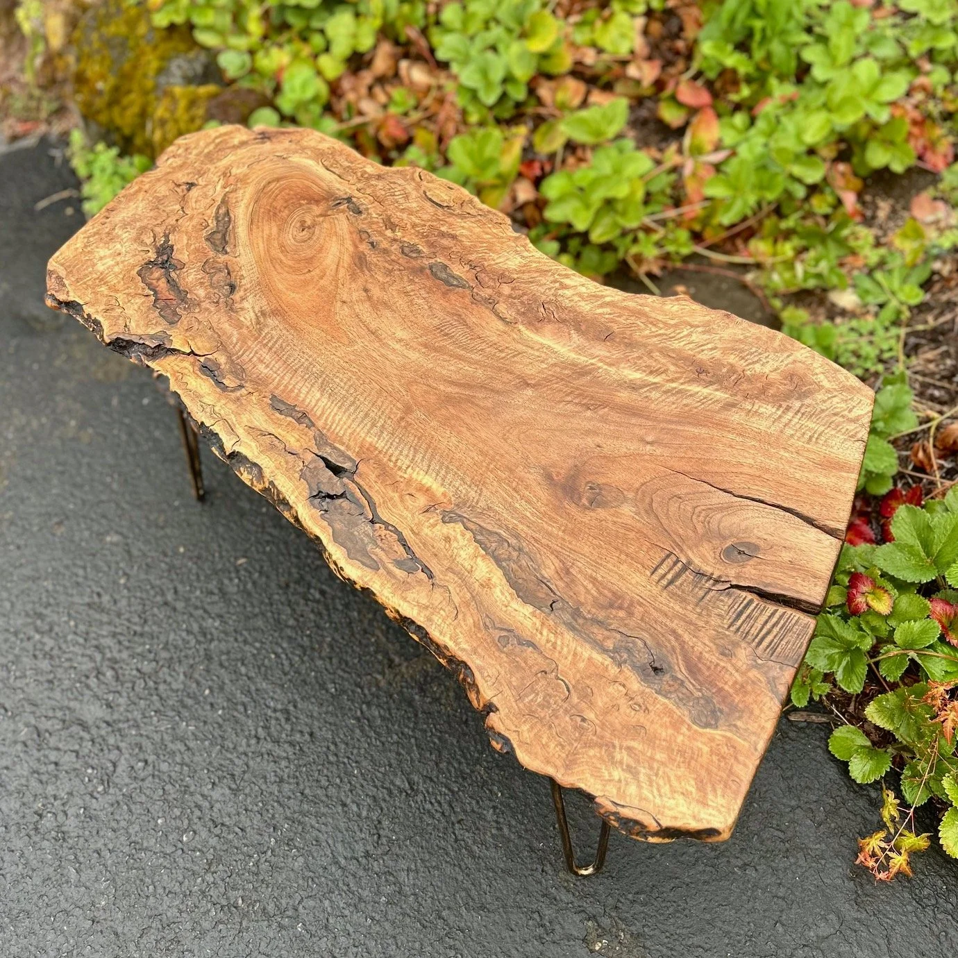 TTT_02 - Tree to Table PDX.jpg