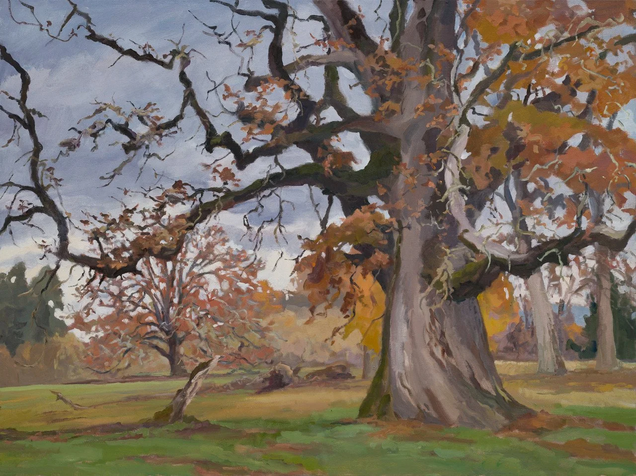 Trowbridge The Old Oak, November.jpeg