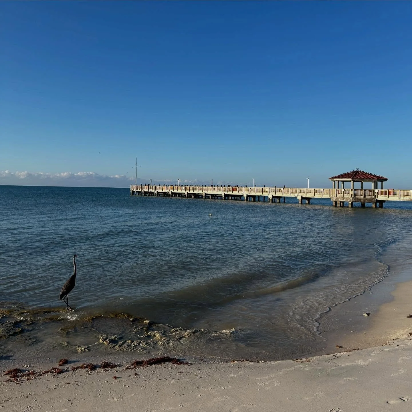 Scenes from a fun visit to Key West with @lillypulitzer (complete with chickens, Hemingway cats, and a very vibrant romper) 🌺
