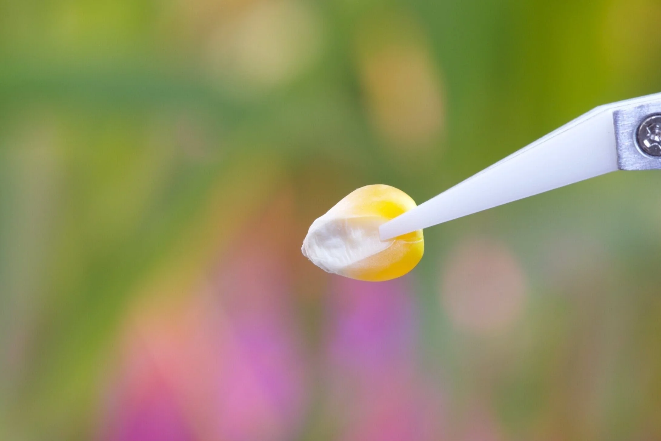 Andes raises USD 15 million in Series A funding co-led by Leaps by Bayer and Cavallo Ventures