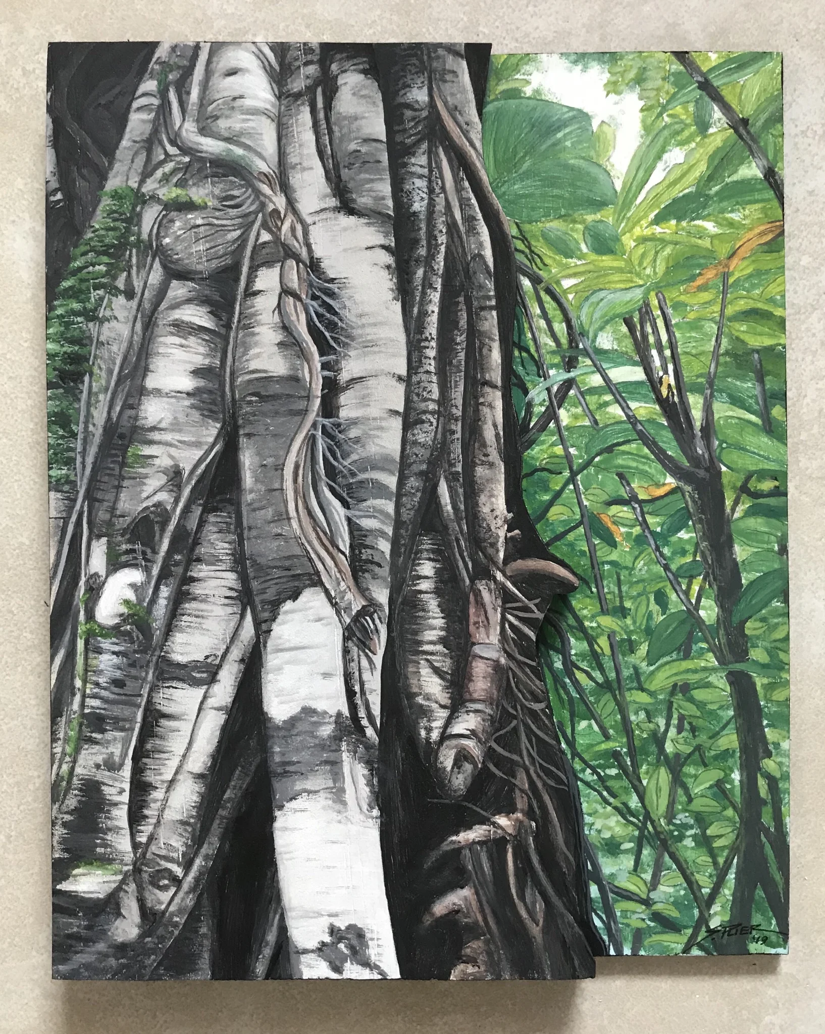 Trail to Manoa Falls