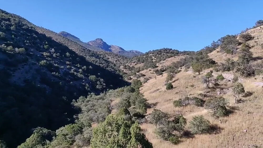 Arizona mtns 5 - used for blog.jpg