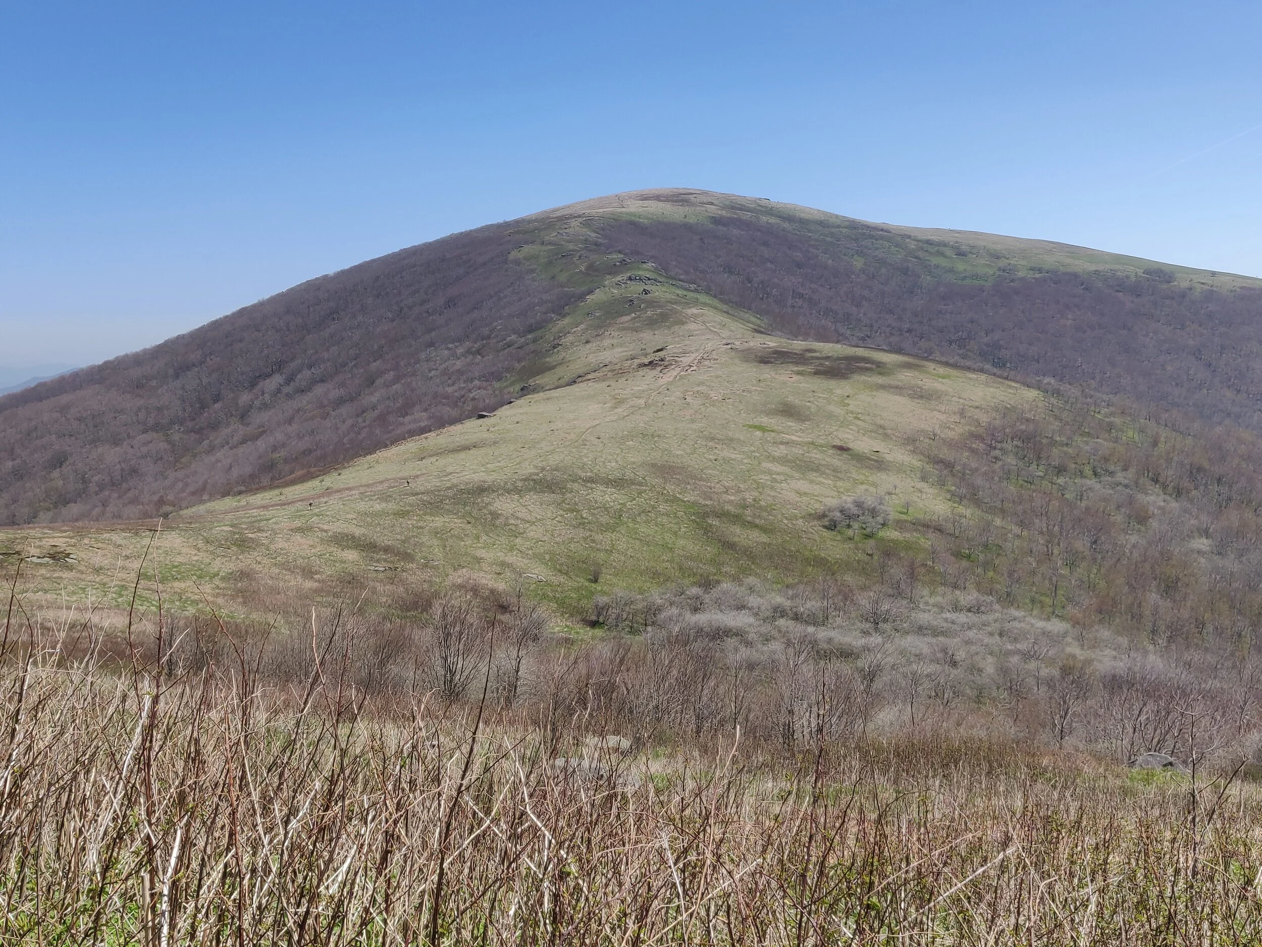 Roan Mountain - used for blog.jpg