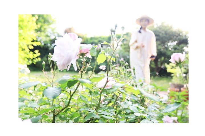 日記　2025.6.4
その１

もう6月😳
2025年も半年過ぎてしまいましたね～
ひゃー😵&zwj;💫

5月のこと、長く書き過ぎたので
ふたつに分けてます🙏🙏

５月は怒涛のように過ぎさって
すこし振り返ってみます

🌿

5月から、半年ぶりくらいに
セッションを再開しました

セッションをすこしお休みしていたのは
もう一度　ヒーリングの方法や
場づくり（エネルギー的な）のことに向き合っていて

わたし自身も、
さらアップデートしていきたいなぁ～、
と思って

松果体や、12個