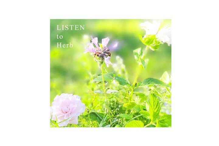 eventのお知らせ

LISTEN to Herb

7/11（金）11:00-14:30

'ulaによる感覚をひらいて
Herbのこえをきく　ワークショップ
@himmel__ula__ 

&rsquo;ula　うらは
Herbal セラピストとして、
植物のこえをお伝えしています🌿

５月にはじめて開催して
みなさんにたいへん喜んでいただき

Herbの花が咲く７月にひらきます

Herbをもっと身近に感じて
効能や使い方だけでなく
Herbのもつ
目には見えないエネルギーこと✨✨
