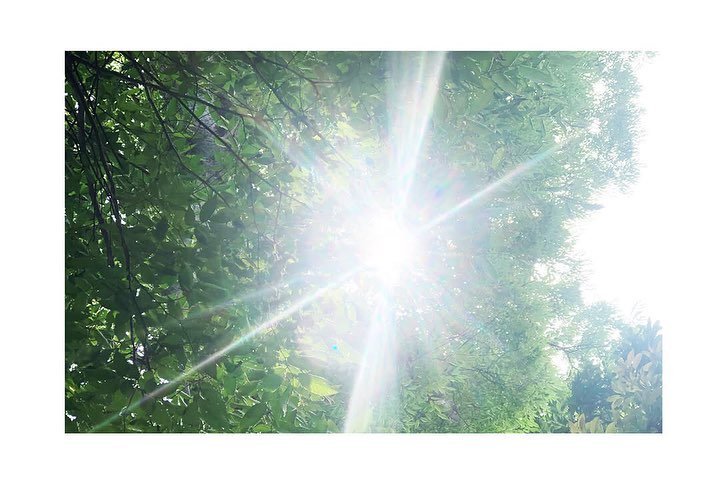 日記　6/19

ヒルマ展にいったおはなし　その2

（わたしの感じたことなので
ひとつの意見として、みてくださいねー）

降霊術の夢を見て
ヒルマさんの展示へ行く

開館すぐに着いたら、
すごい混んでいて、並んでいる&hellip;
ヒルマさん注目されているんだなぁ

嬉しい気持ちと、
なぜか、ざわさわと、すこし嫌な予感もする

20分くらい並んで
入っていくと、すごく賑わっている

最初のほうの会場には、たくさん人がいたので
人混みが苦手なわたしは、先に先にいく
先のほうは、まだそんなに混ん