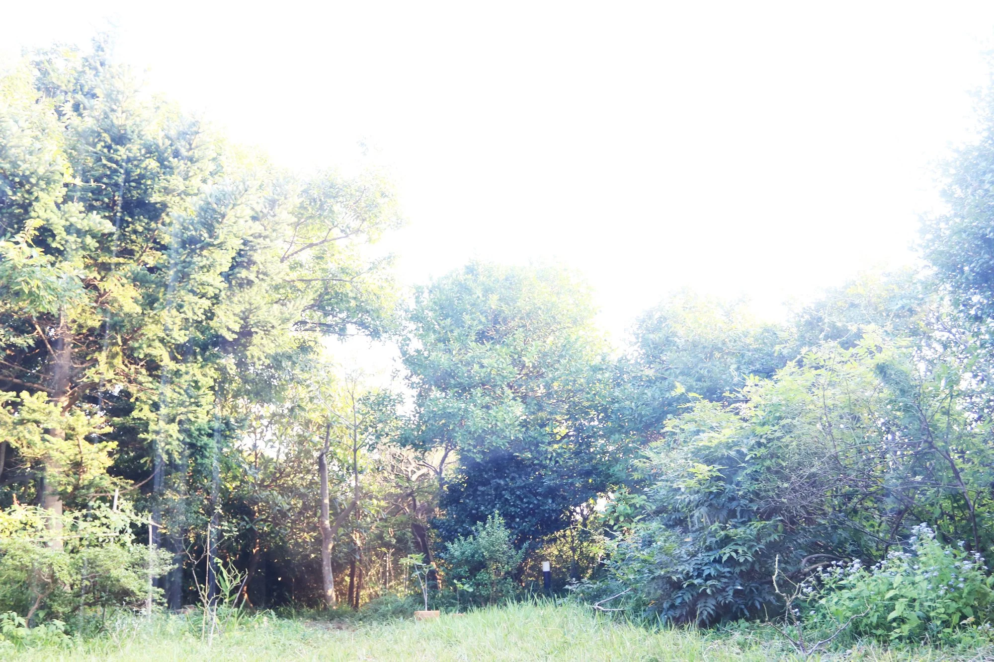 HIMMEL スケジュール

9月になりましたね

先月の満月🌕
皆既月食もなかなかパワフルでしたねー

ちょうどその日に、スマホが壊れました&hellip;
朝、起動をしたら、画面がゆっくりと真っ白になっていって&hellip;👼

うらさんのおさがりで、
携帯の機能はつけていないので
外では使えないのですが
とっても重宝していました～✨✨

いままで、がんばってくれて、
本当に、ありがとうー✨✨

せっかくなので、
スマホなしで暮らしてみようかな😊

===

今日は、セッションの日
