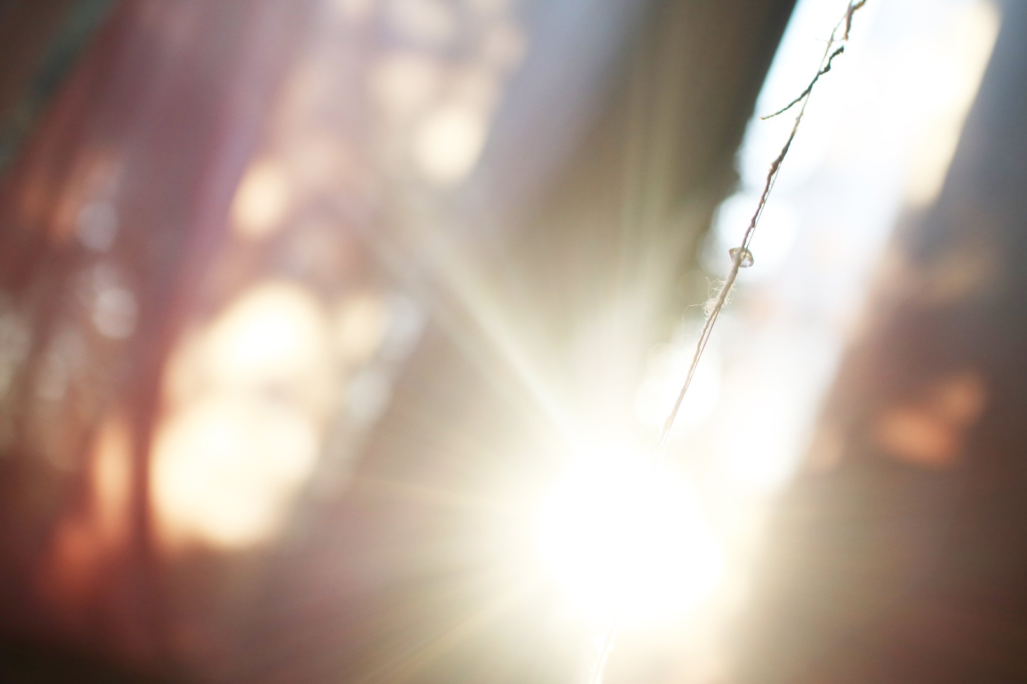 HIMMEL スケジュール

1月、2月は、ひとと会って、
お話しをすることが多くて楽しい☆

昨日は、
HAURAさんがHIMMELに来てくれて
再来週行う　コラボセッション
アニュラスのテストと
一緒にお鍋（みそしょうが味）を食べた
美味しかった🤭
アニュラスも　良い時間になりそう☆
（こちらは、満席となっております🙏）

.

アーティストのmïndy さんとともに
3月に、開催するイベントのミーティング
（写真は、2022年開催したときのものです、美しいですね✨✨✨）

みなさんに