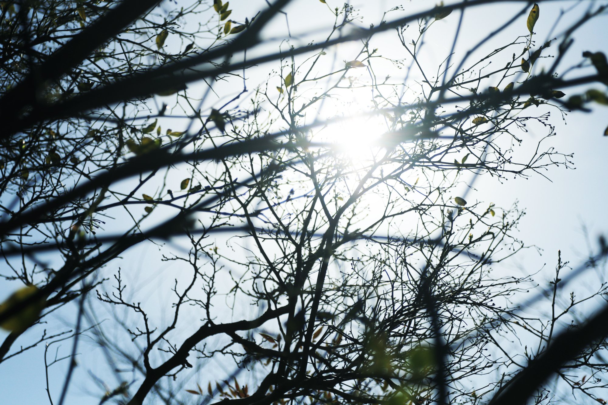 Sessionのお知らせ

春分の過ぎ
あたらしいサイクルのはじまり

鎌倉山でも、
すこしずつ桜が咲き始めてきました
嬉しいな🌸

来週くらいは、きっと綺麗ですね
楽しみです🌸

4月の
セッションスケジュール更新しました

4月4日（土）、5日（日）
10日（金）、11日（土）、13日（月）、
20日（月）、21日（火）、22日（水）

OPENします！

オンラインストアでも、対面でも
このタイミングという方お待ちしていますね！

詳細はお申込みは
ホームページをご覧ください🌸

h