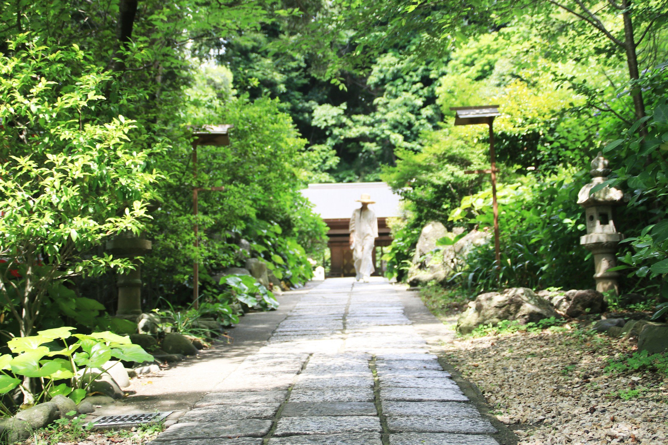 diary　2026　5/29

最近のこと

先週は、わたしの不注意で、
すこし大きめの火傷をしてしまって&hellip;
すこし、ゆっくりと過ごしていました

今年は、丙午　ひのえ・うま
火のエネルギーが、
とても強くなる年みたいですね
いまは夏至も迎える
太陽のエネルギーも強いとき

このくらいの火傷ですんで
よかったのかもしれませんね～
みなさんも、火には
くれぐれもご注意くださいねー！

わたしも、また変容をするために
必要なイニシエーションだったのでしょう

先週は、すこし痛みもあっ
