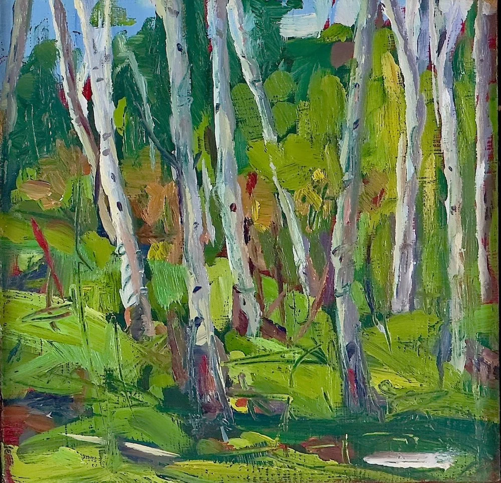 marjorie-lindsay-Utah-White-Birch-6x6-bright-trees-impressionist.jpeg