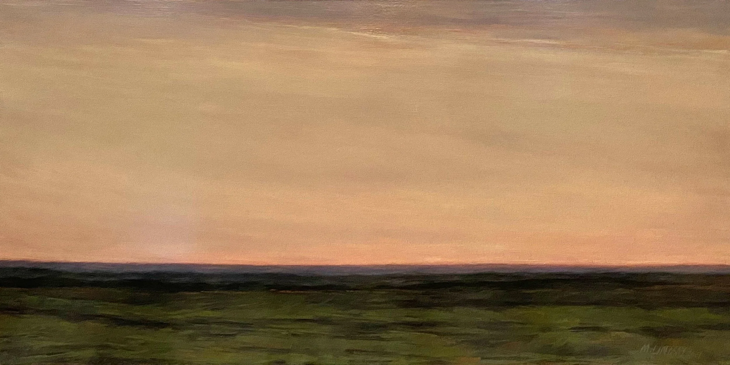 pinkhorizonsunsetjune.jpg