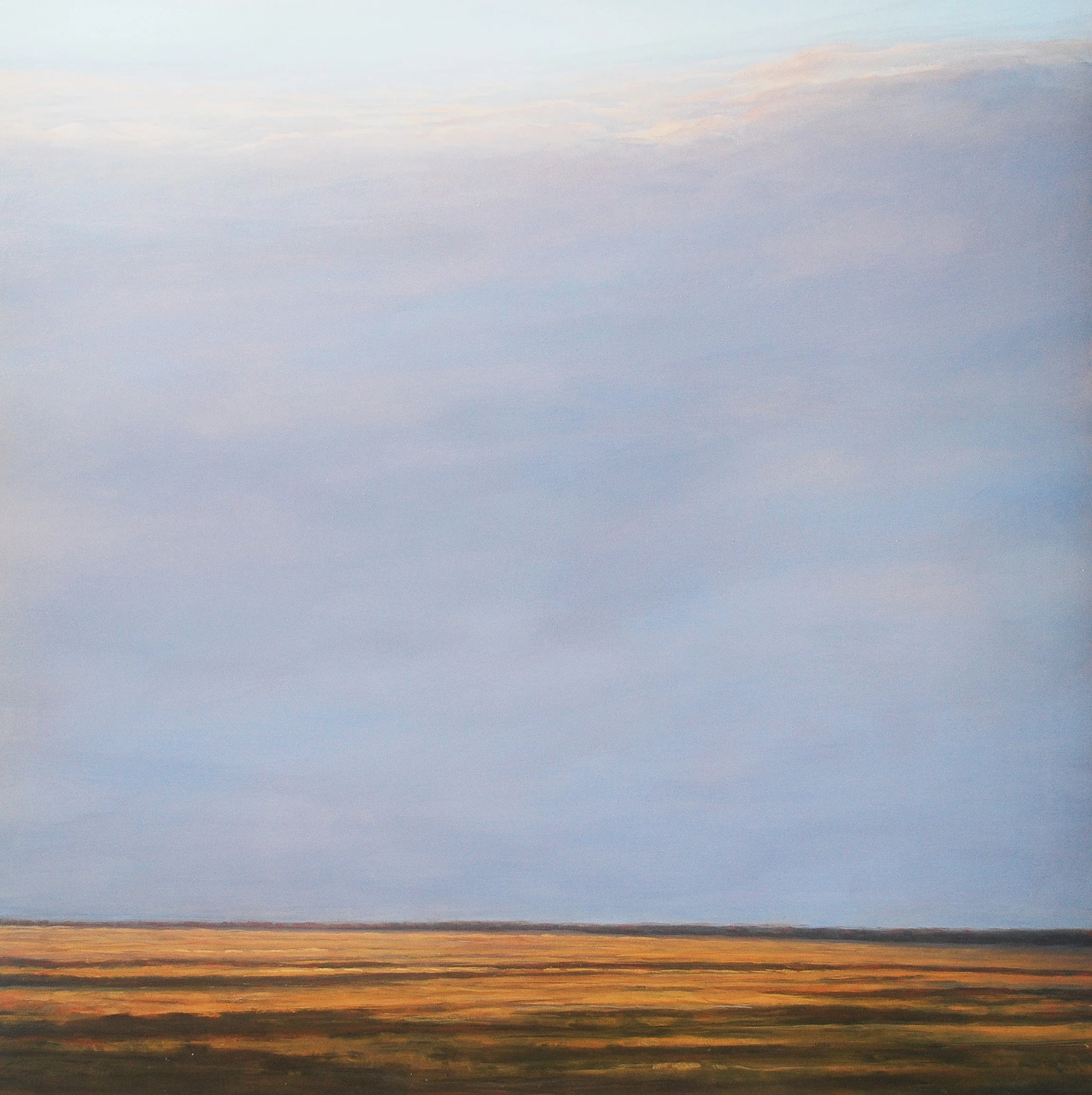 Yellow Field
18”x 18
Oil on Panel
1800 SOLD