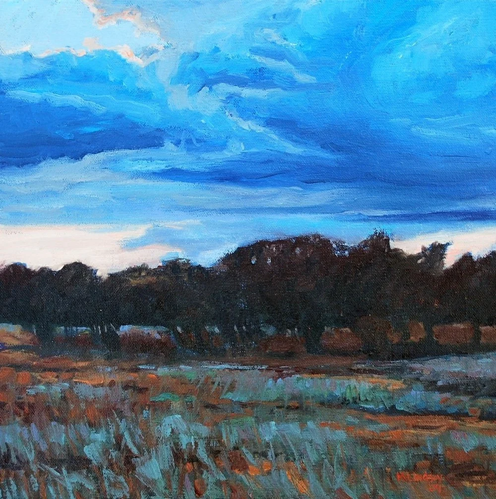 Landscape featuring a row of live oak trees with dramatic clouds in the sky. 