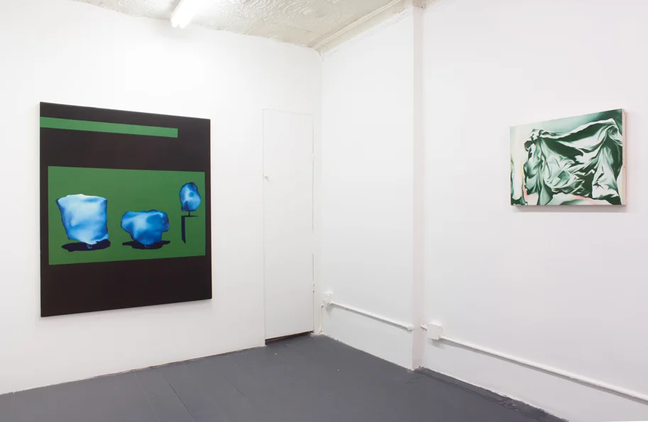 Installation from Ramping at the Bit at Chapter NY. Caitlin MacBride.