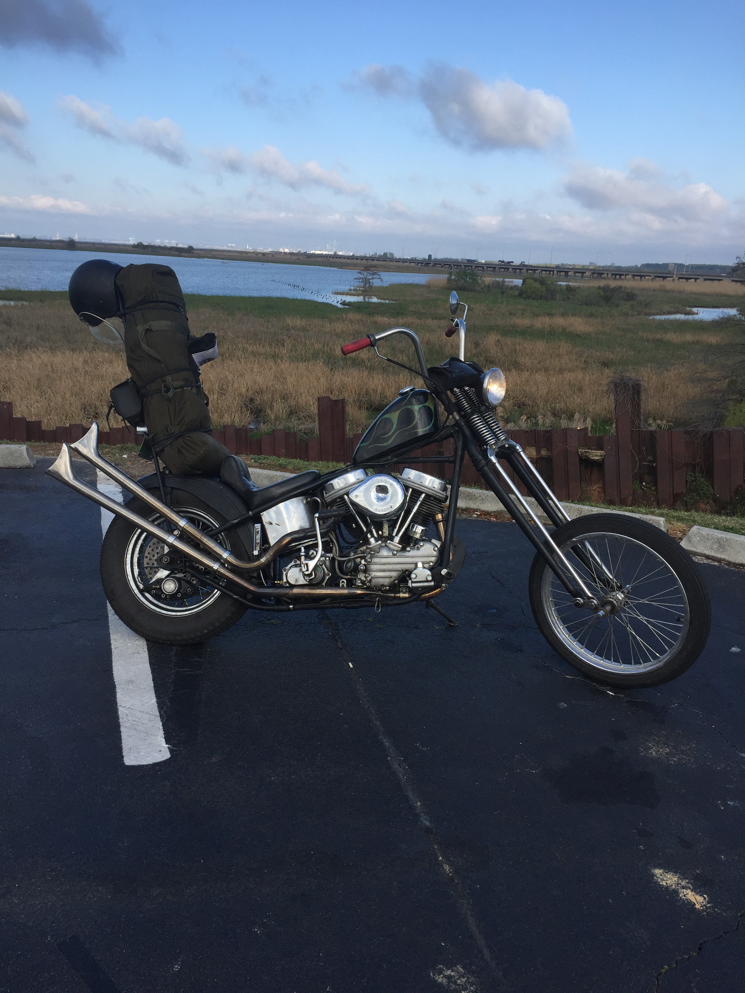 Mobile Alabama in the background
