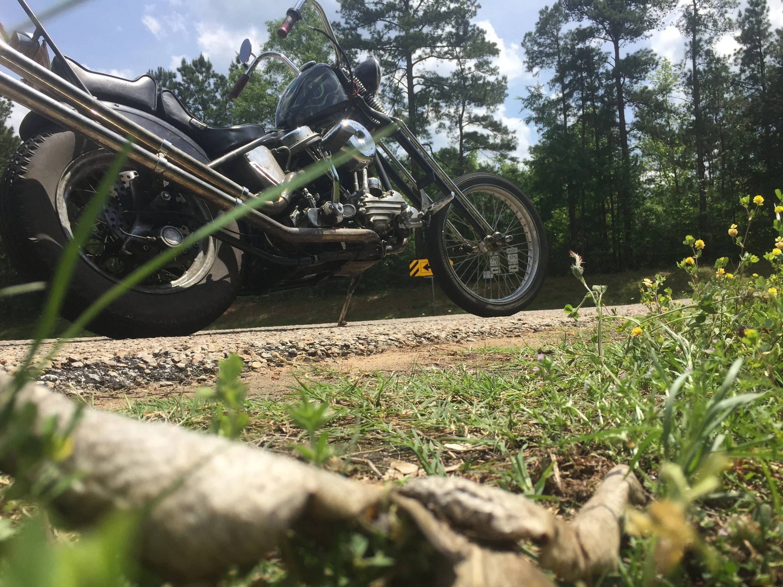 Roadside fish skin and my chopper.