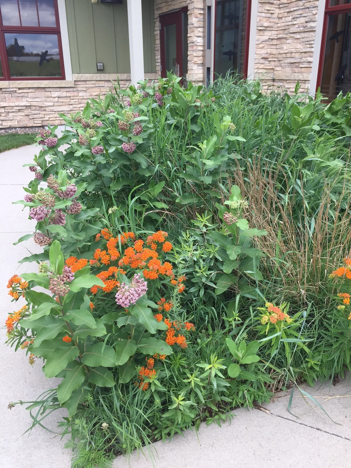 Native Plant Workshop: Landscaping with Native Plants to Attract Birds and Butterflies