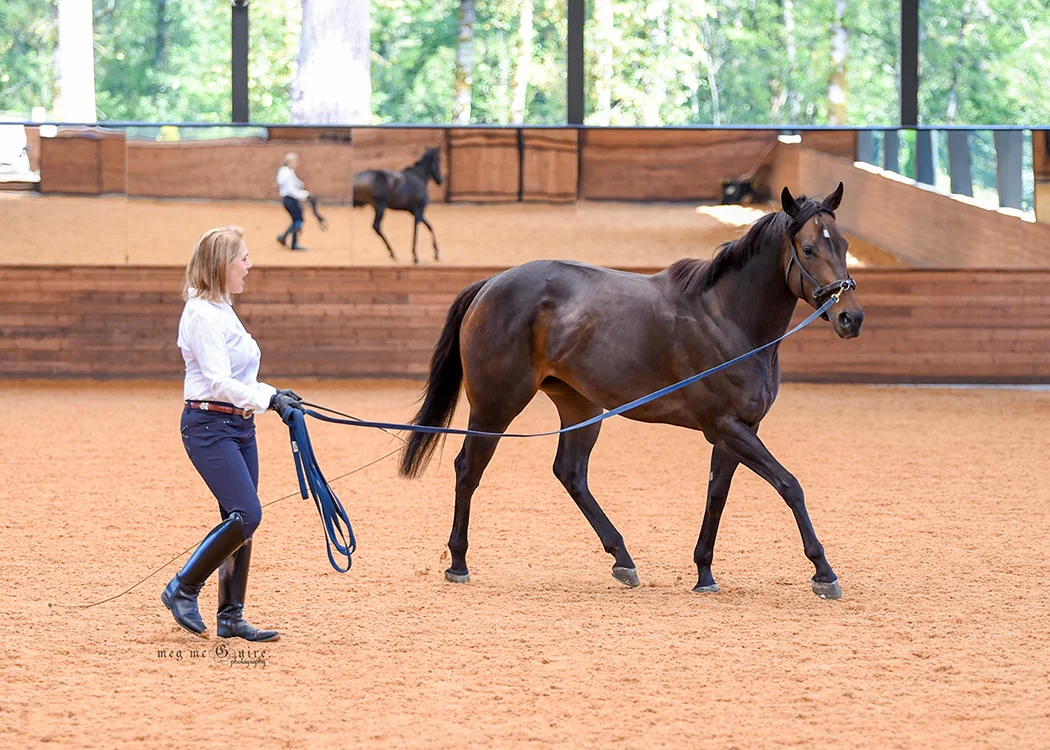 WEB.JaneJudson.MMP_3854©meg-mcguire.com..jpg
